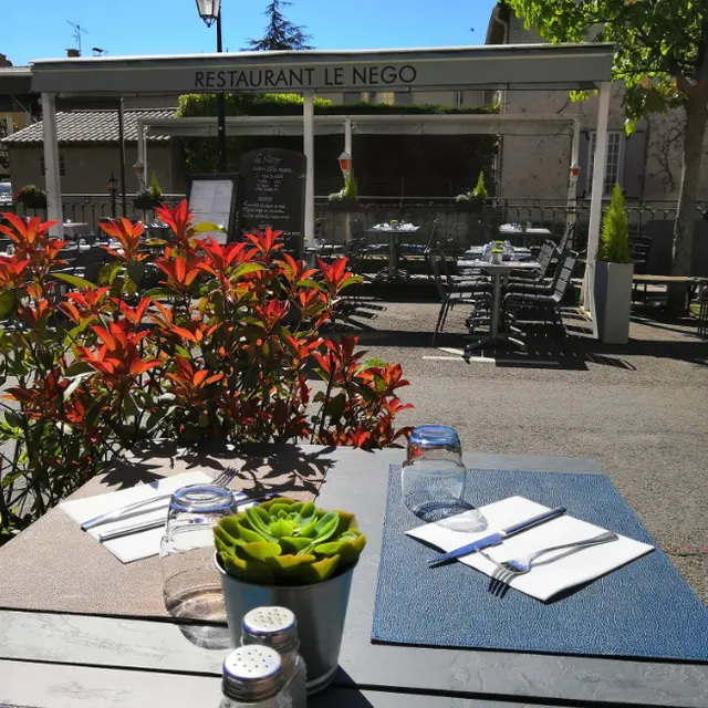 Le nego