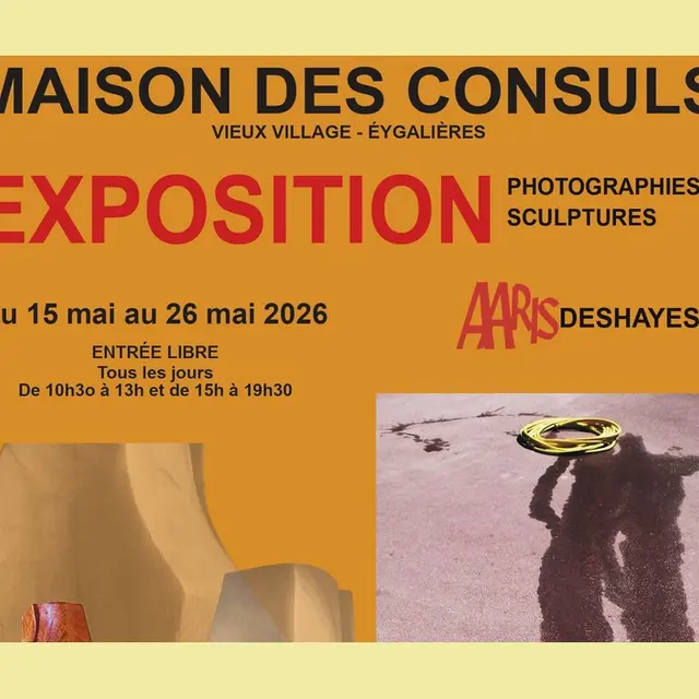 Exposition d'Aaris Deshayes à Eygalières 15.05 au 26.05.26
