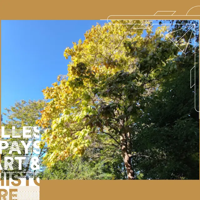 Visite guidée : Arboretum, à la découverte des écorces_Montvendre