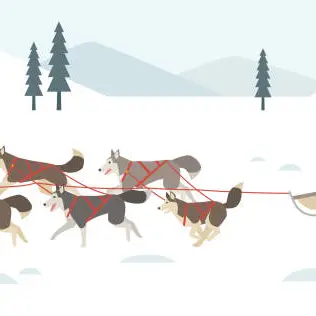 Chiens de traîneau et calèche de Noël_Tence