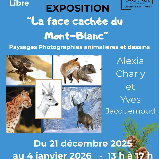 Exposition La Face cachée du Mont-Blanc au Centre Culturel de la Gorge_Les Contamines-Montjoie
