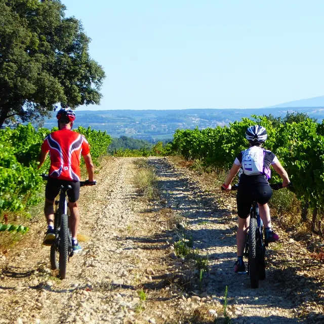 Bedoin : balade accompagnée à vélo