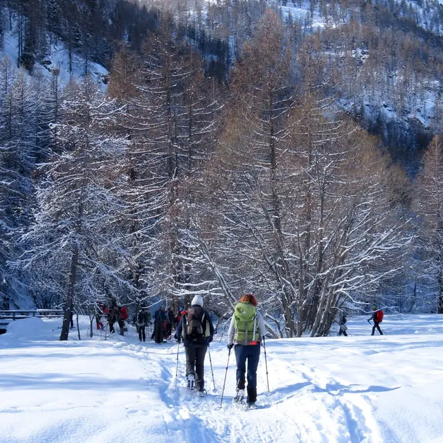 Balade raquette - Découverte_Saint-Christophe-sur-Guiers