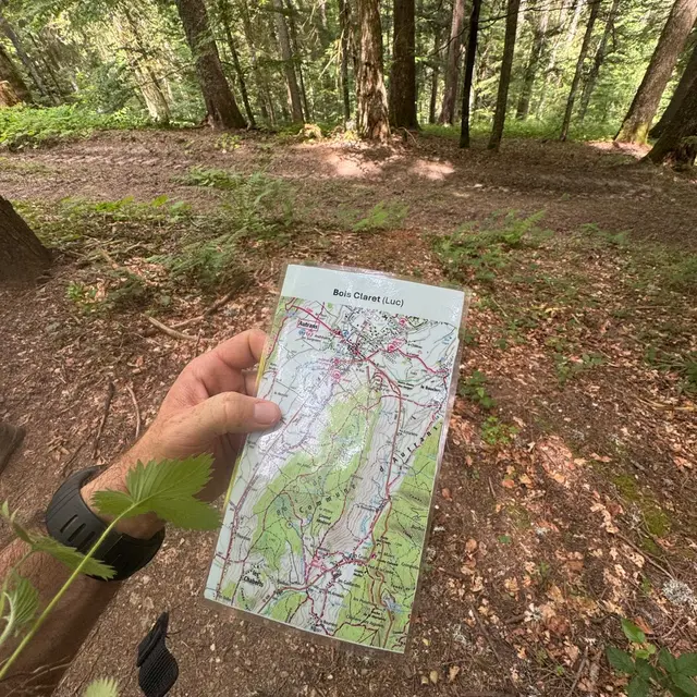 Cartonivo: Stage Initiation Carto & Orientation_Bédoin