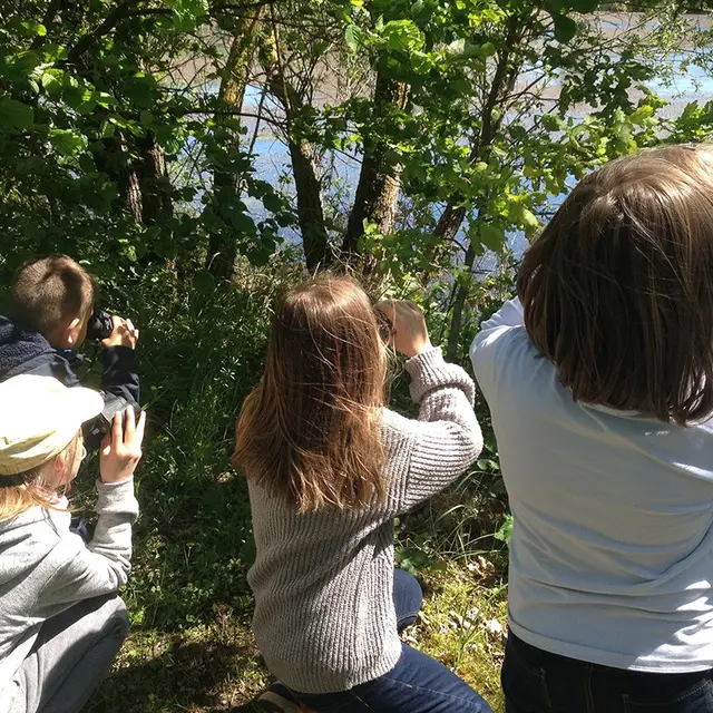En quête d’oiseaux - Les RDV Nature du Département :_Saint-Just Saint-Rambert
