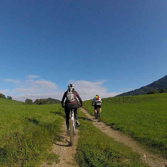 Entre Vivier et Messy