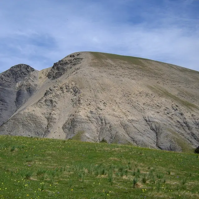 Tour de Tête Grosse