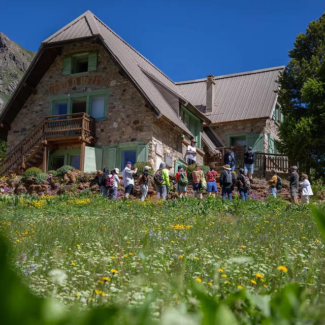 Mur en tuf et chalet