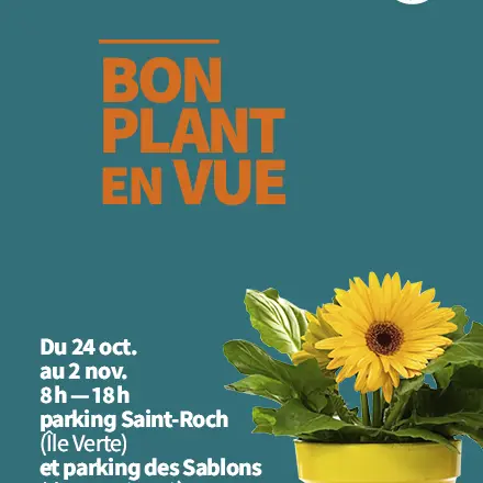 Marché aux fleurs_Grenoble