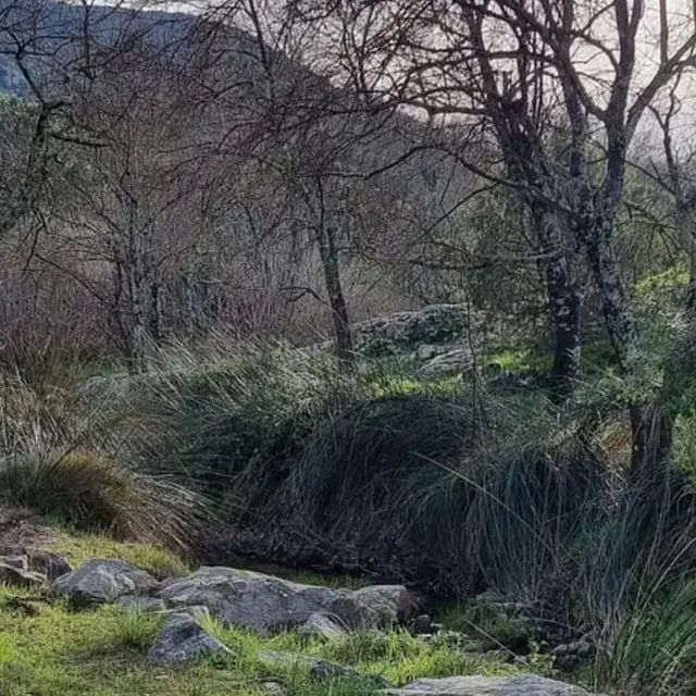 Promenade-découverte : chemins de nature – les plantes et l’eau quel duo !_Sainte-Maxime
