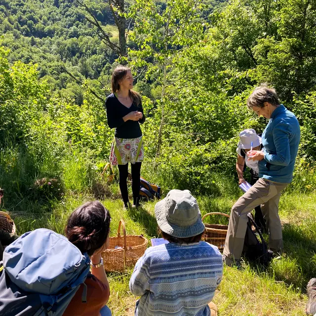 Balade plantes comestibles en Savoie