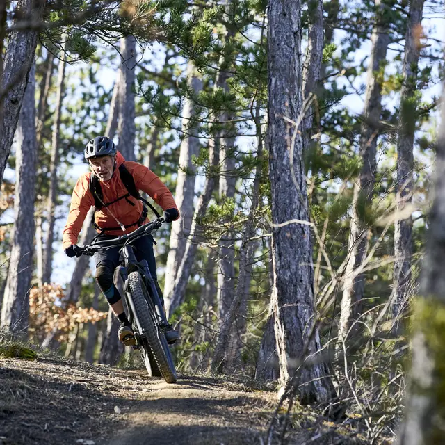 La Pierre Plantée N°6 Peyruis