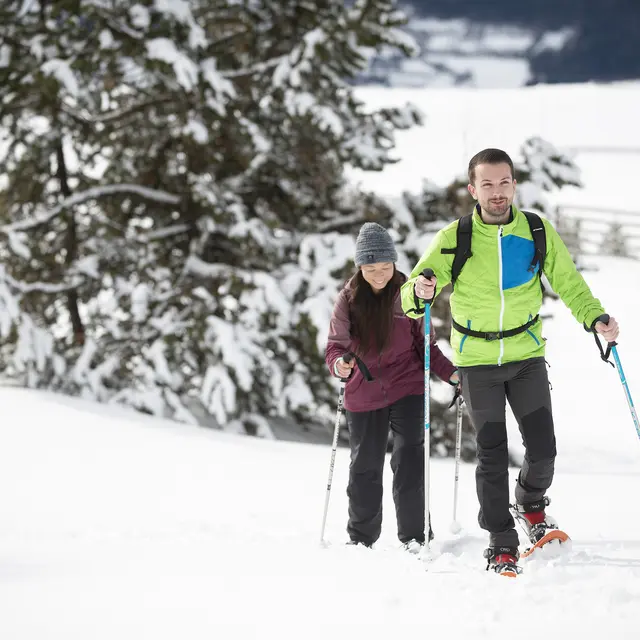 Crêtes et sommet du Grand Puy - Difficile 8km_Seyne