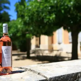 Château La Curnière - Tavernes