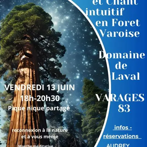 Atelier : Bain de forêt et chant intuitif | Nuits des forêts_Varages