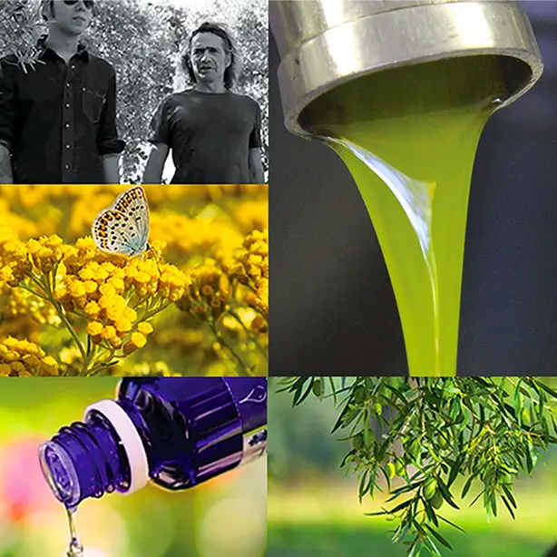 Terres de BONAVENTURE