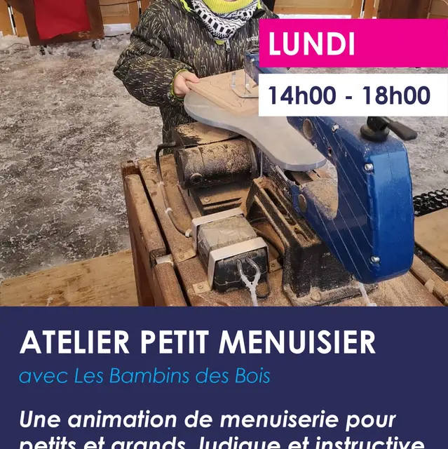 Atelier petit menuisier_Bernex