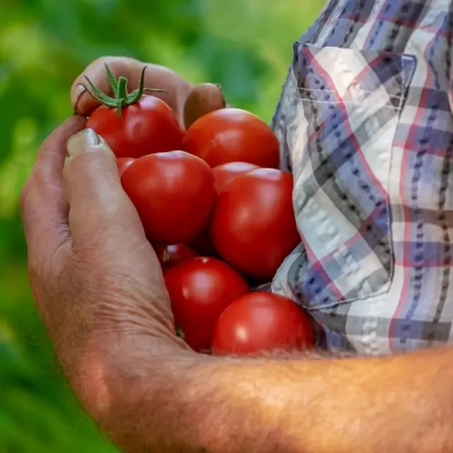 Marché Paysan du Verdon