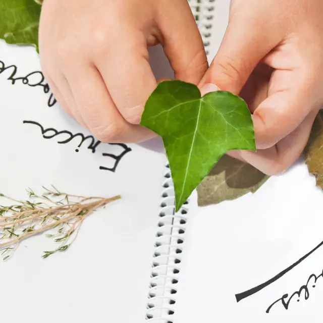 Atelier ALTEC (9-11 ans) - À la découverte des plantes : crée ton herbier_Bourg-en-Bresse