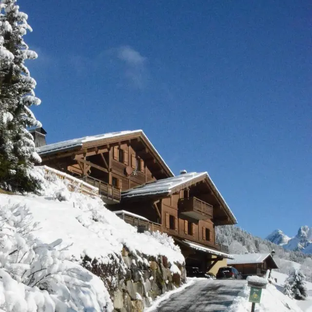 Chalet Météo Trenkle TU 832 - Rosace Heidi - Neuf
