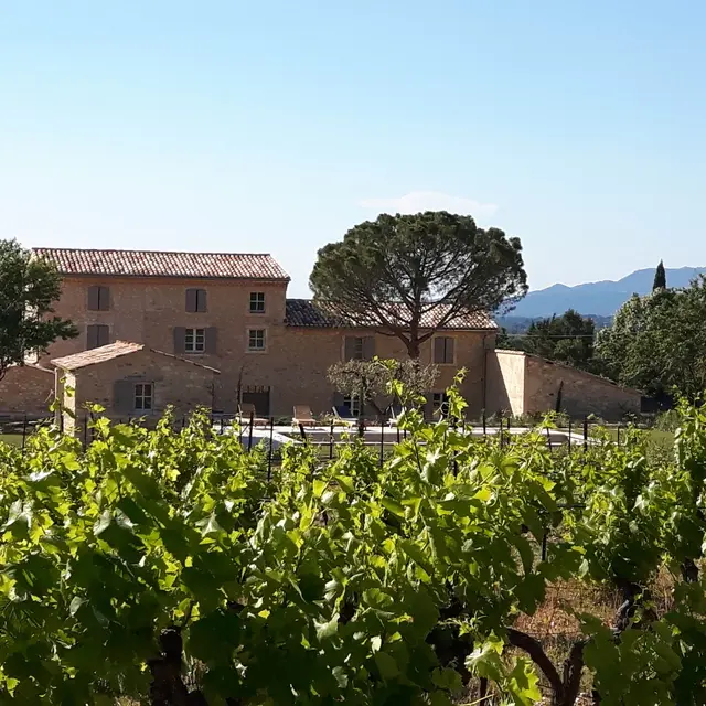 Le Domaine du Chat Blanc à Saint Didier