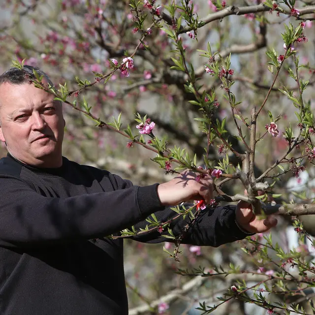 Denis Collado, EARL Coco Fruits