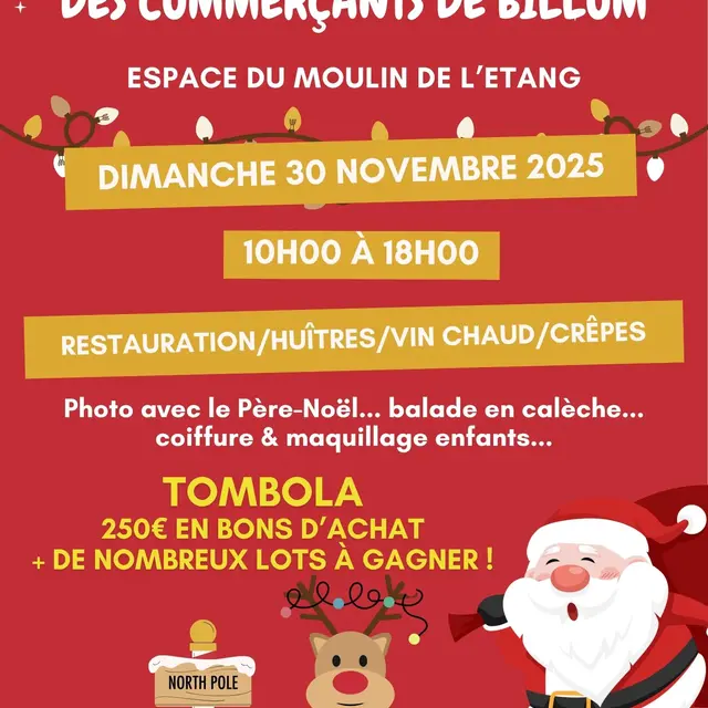 AFFICHE MANIFESTATION