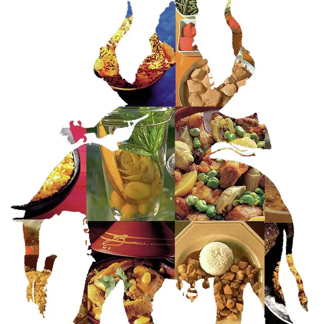 Logo 2 Shalimar.jpg