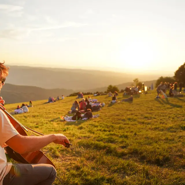 Fourmidable Pique Nique