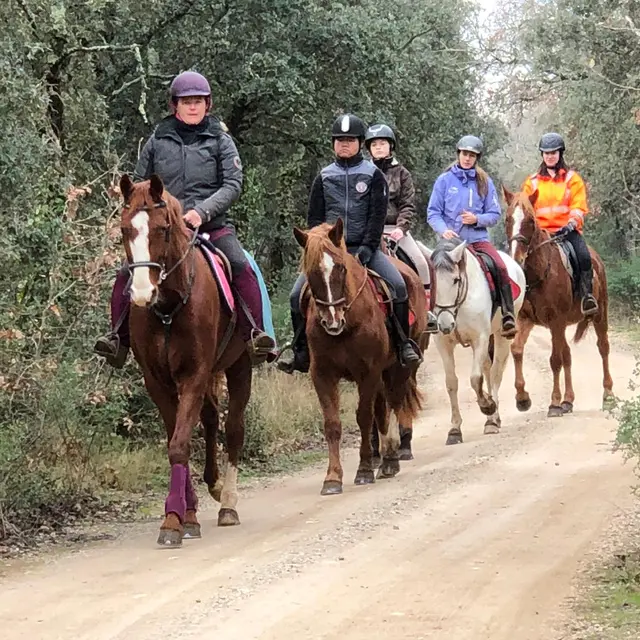 Les Cavaliers du Ventoux