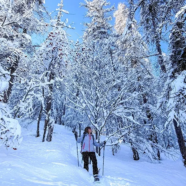 Randonneuse en raquettes à neige au milieu d'une forêt enneigée