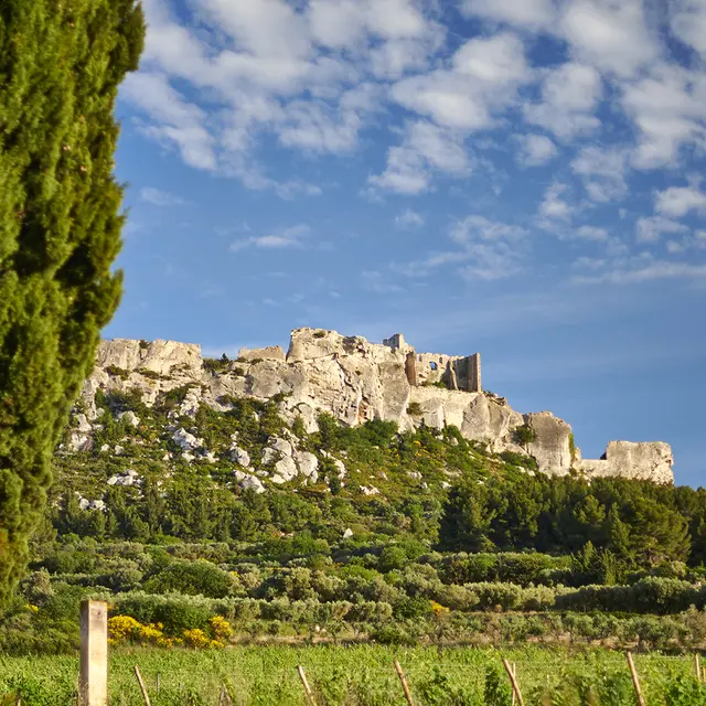 Mas Sainte Berthe_Les Baux-de-Provence