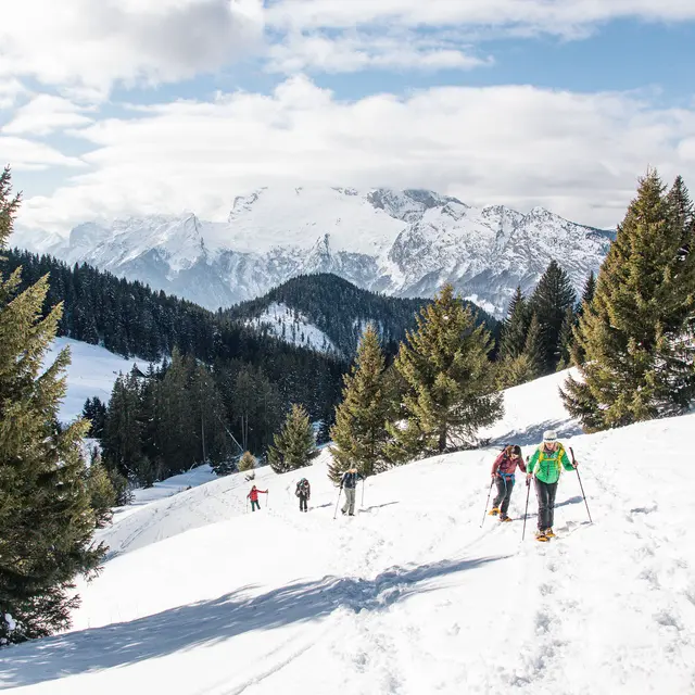 Randonnées raquettes