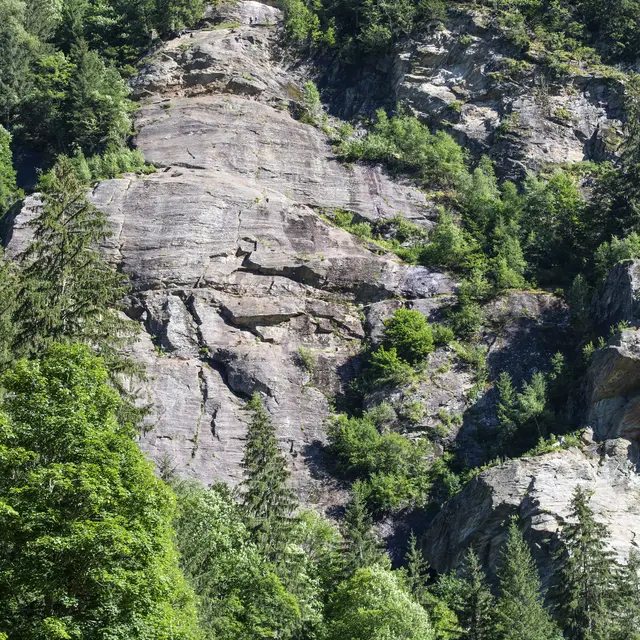 Rocher d'escalade de la Duchère