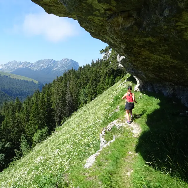 Skyrunning - Chartreuse