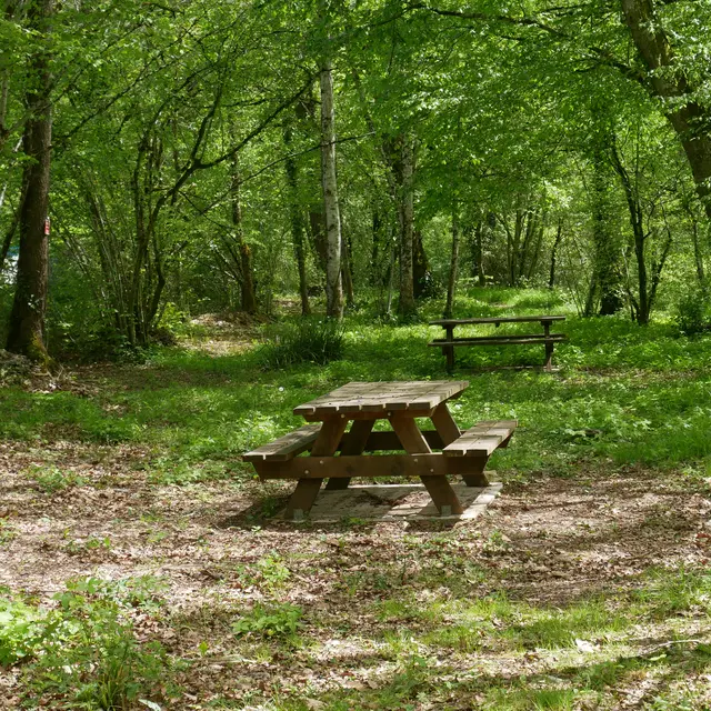 Aire de pique-nique de Saint-Pierre-de-Livron_Caylus