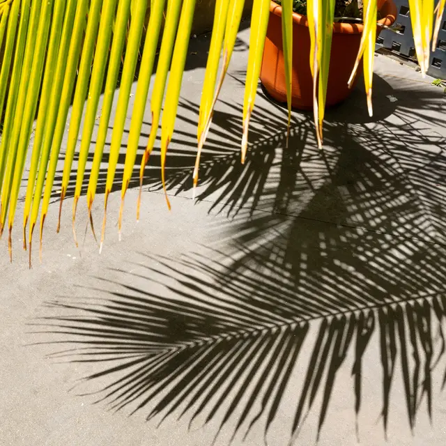 Marina Beach Hôtel_Nouméa