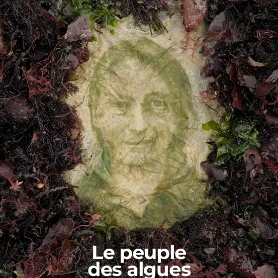 Exposition : Le Peuple des Algues