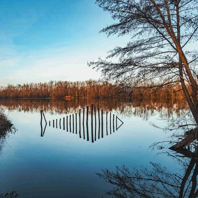 Gravière aux Oiseaux - Petites bêtes de la mare_Mably