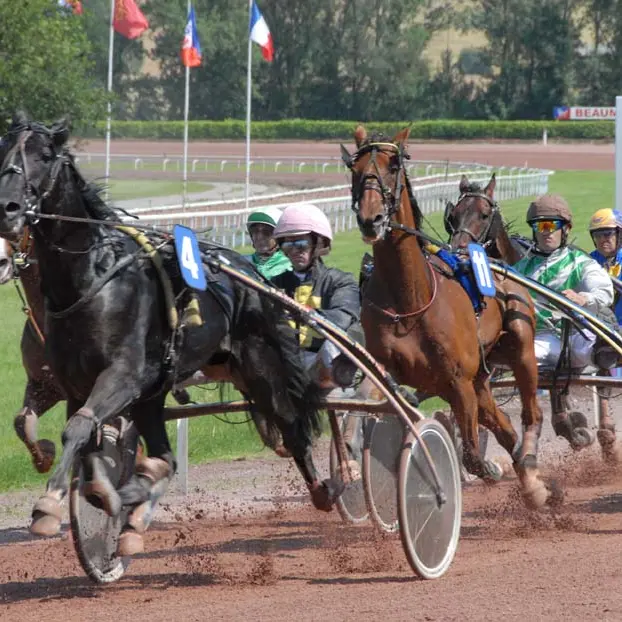 Courses hippiques - 11h45_Beaumont-de-Lomagne