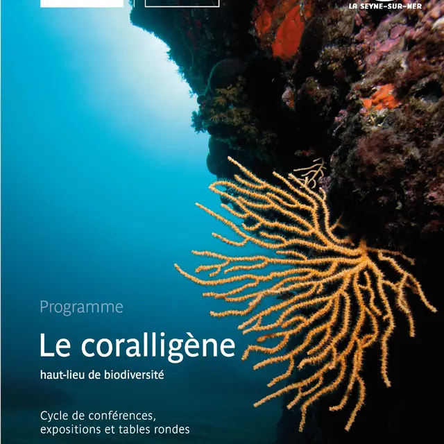 Conférences et table ronde : «Coralligène, qui es-tu ?»_Hyères