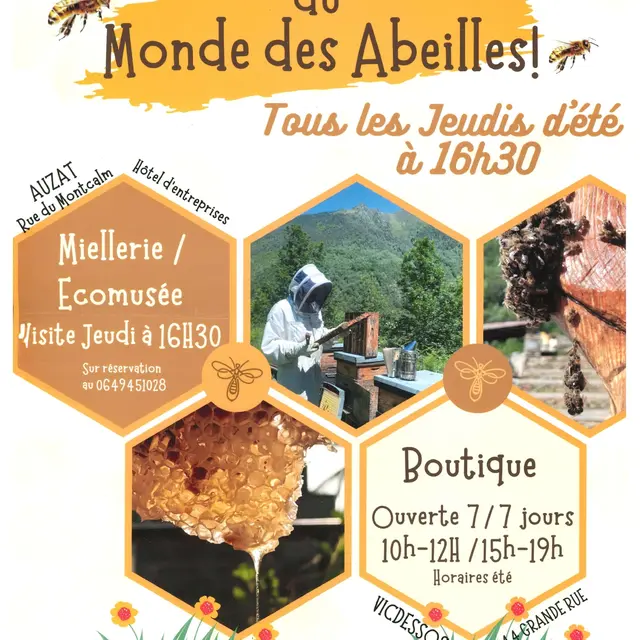 Visite commentée du monde des abeilles !_Auzat
