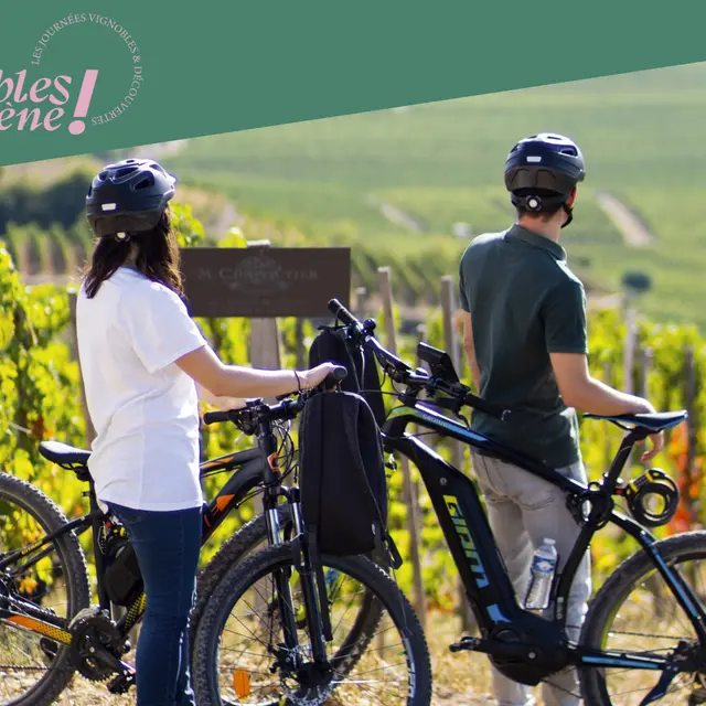 Balade en vélo à assistance éléctrique - Maison M. CHAPOUTIER_Tain-l'Hermitage