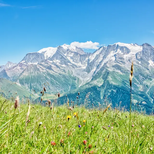 Le Mont Joly depuis le Bettex