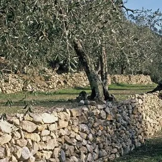 Breil-Piène Haute