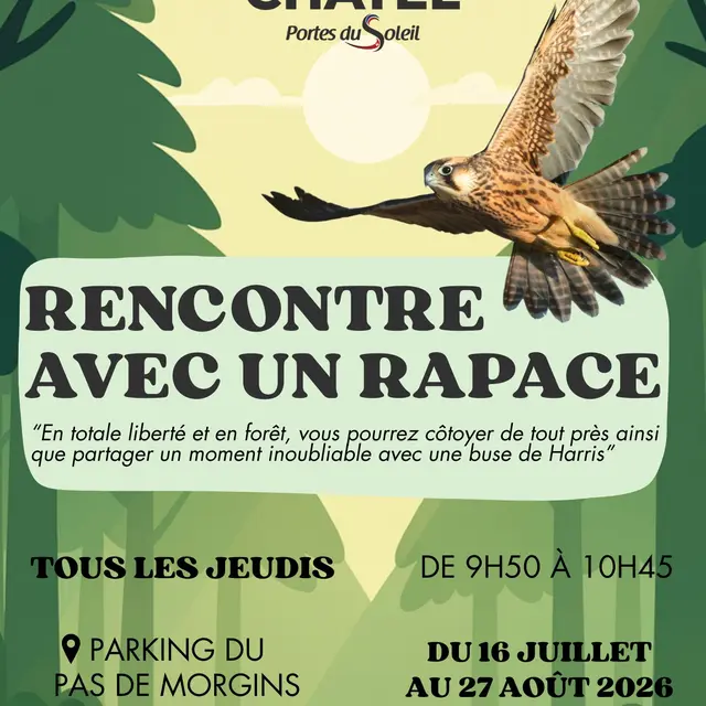 Rencontre avec un rapace_Châtel