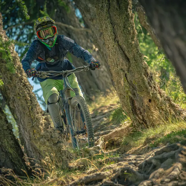 Forêt Rider