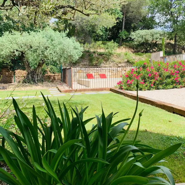 Gîte le Clos des Oliviers -  Marguerite à Aubignan