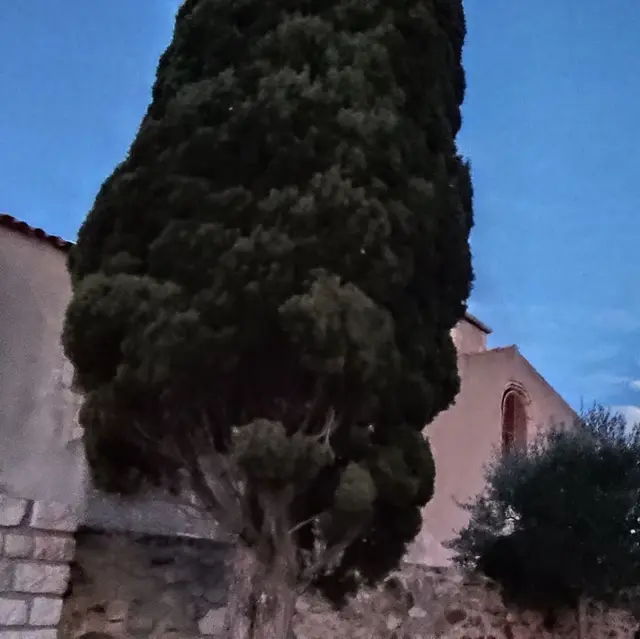 Conférence astronomie_Martigues