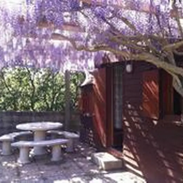 Studio - Le Cabanon - Mme Roumejon